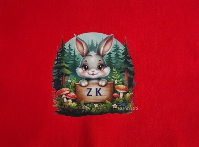 Jmenovka č. 22
